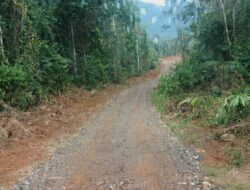 MPI Morowali Bangun Jalan Desa, Bukti Nyata Peduli Warga