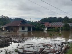 60 Rumah Terendam, Banjir Kepung Desa Saojo Poso