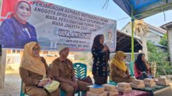 Reses Ulfa Serap Keluhan Lampu Jalan dan Perbaikan Infrastruktur