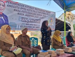 Reses Ulfa Serap Keluhan Lampu Jalan dan Perbaikan Infrastruktur